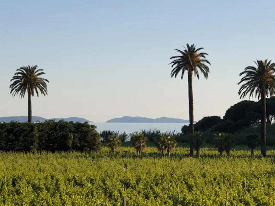 Villa Cote Mer, Provence Style, Near St Tropez La Croix-Valmer